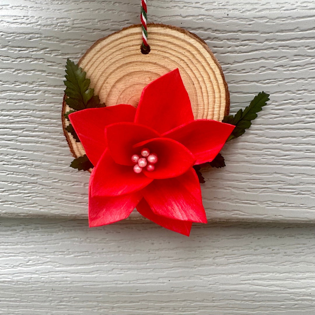 Red Sola Wood & Dried Leather Leaf Fern Ornament Etsy
