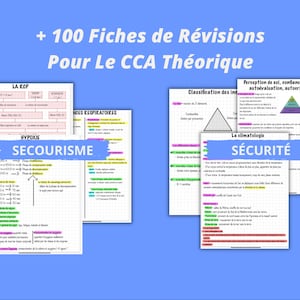 CCA (Cabin Crew Attestation) revision sheets – 100 PDF sheets to print or use digitally