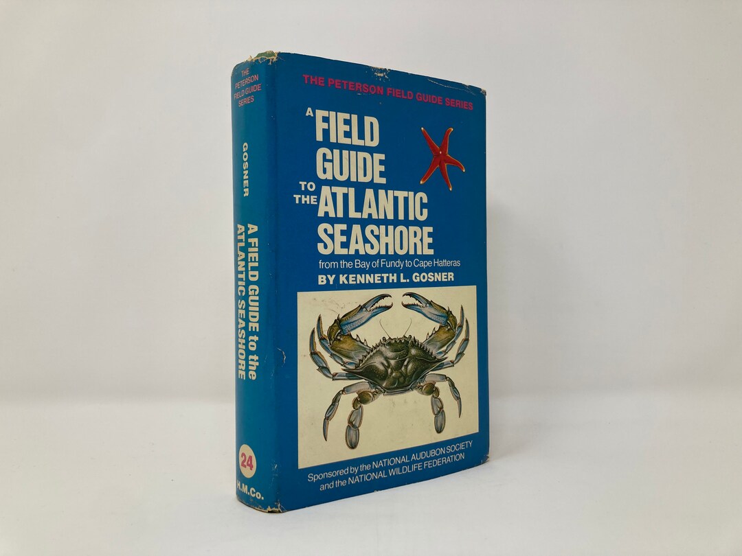 A Field Guide to the Atlantic Seashore: Invertebrates and Seaweeds of ...