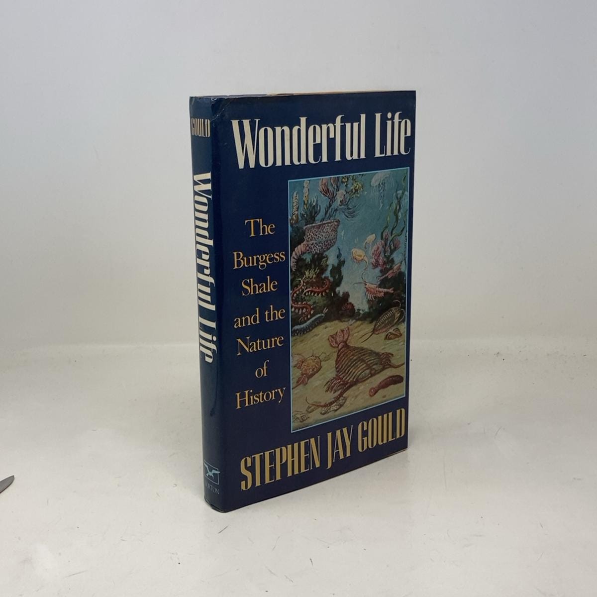 バックストン著作集全10巻セット SouthamptonSagBooks - Etsy 日本