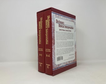 Dictionary of Biblical Interpretation (2 Volumes) by John Hayes HC Hardcover First 1st Like New 1999 203585