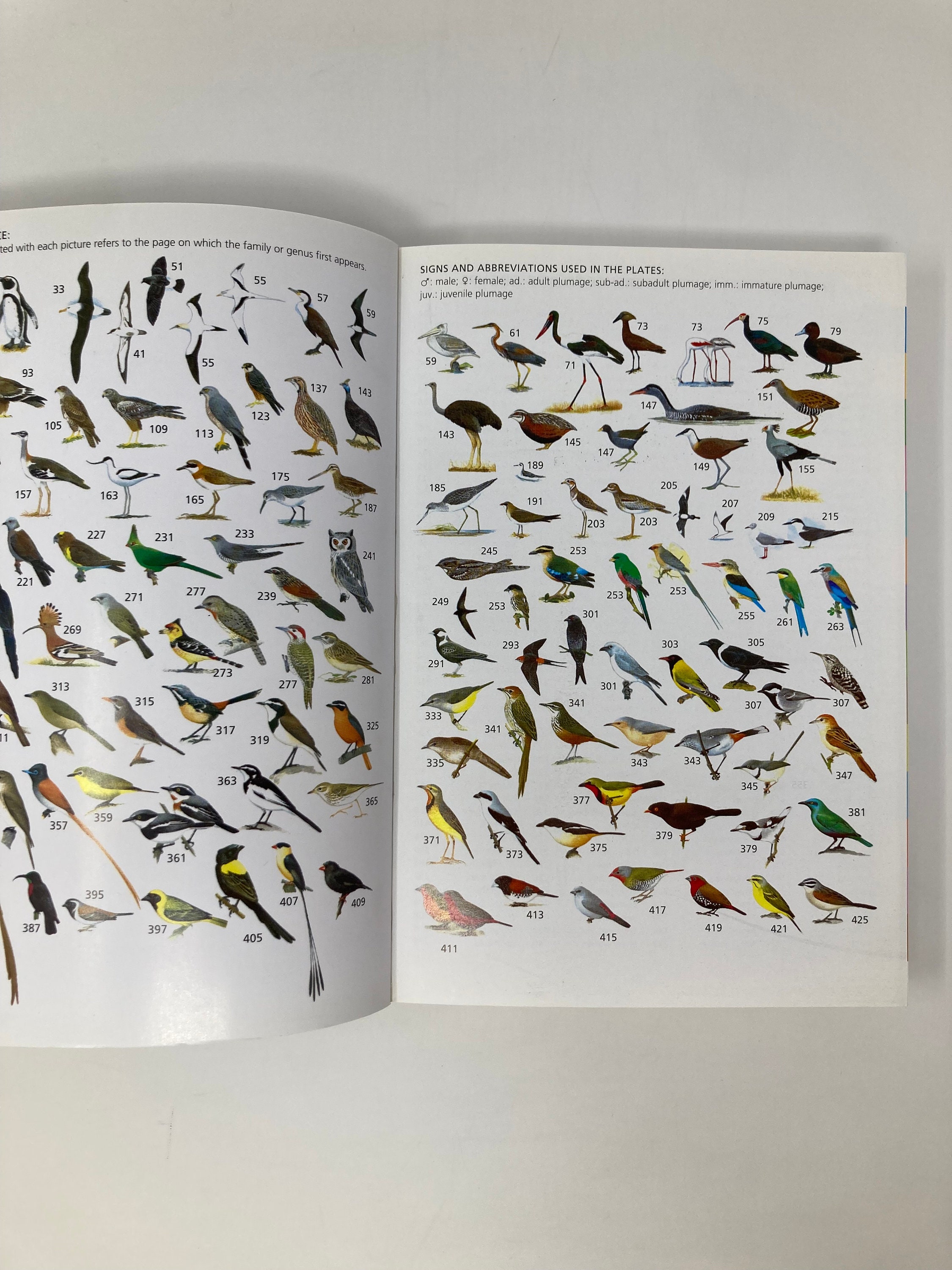 南アフリカ ハイベルド の 鳥 図鑑 Struik Pocket Guides for