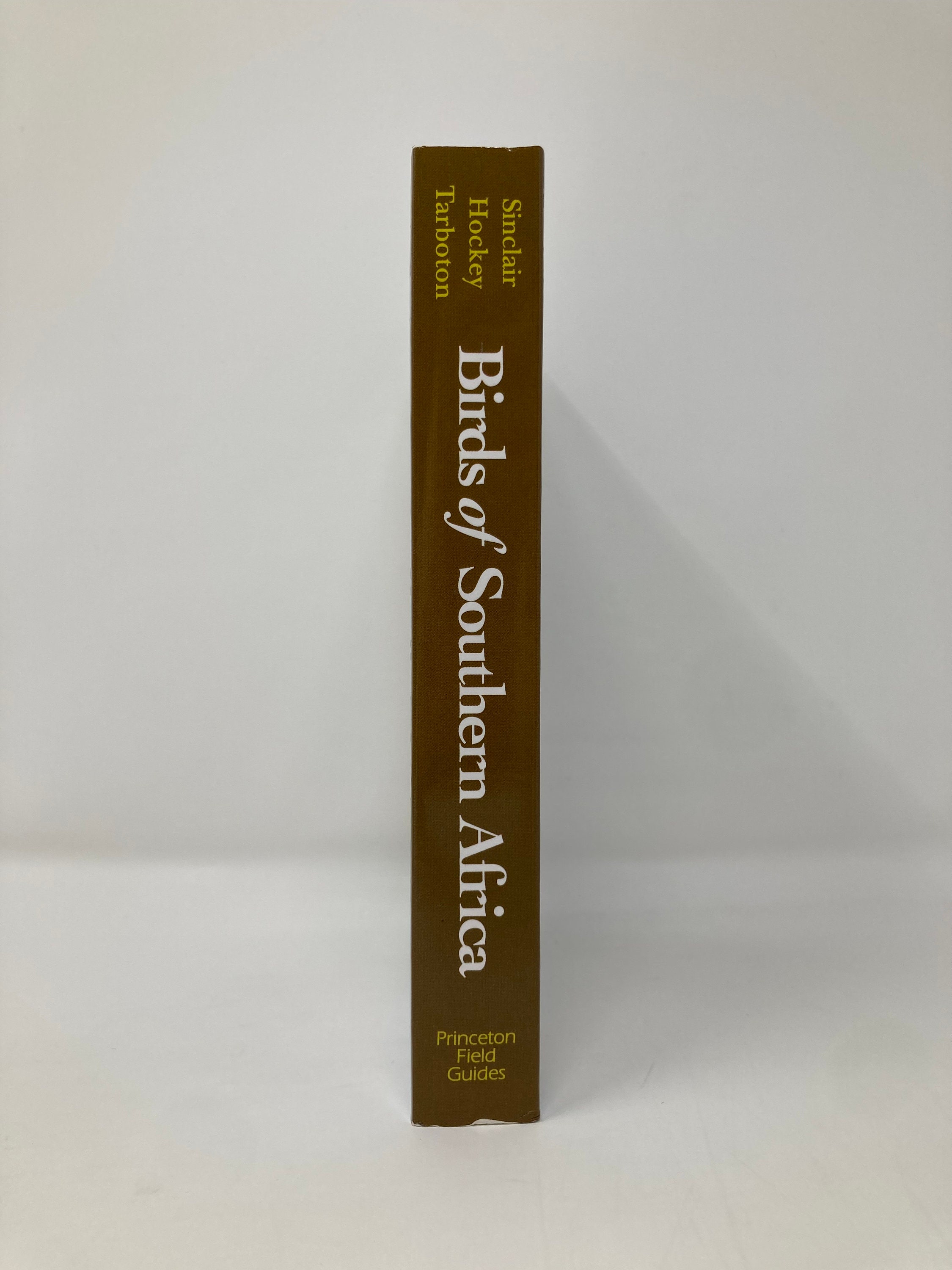 Struik Pocket Guide: Birds of Prey of Southern Africa (New