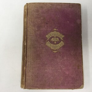 Secrets of the Great City by Edward Winslow Martin HC Hardcover 1868 VG Very Good