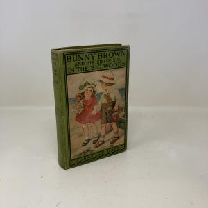 Bunny Brown and his Sister Sue in the Big Woods by Laura Lee Hope HC First Thus Hardcover Very Good 1917 335483
