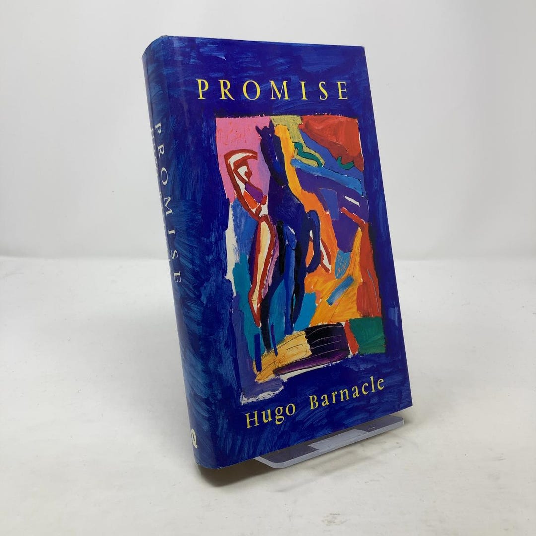 Promise by Hugo Barnacle HC First Edition Hardcover Like New 1987 ...