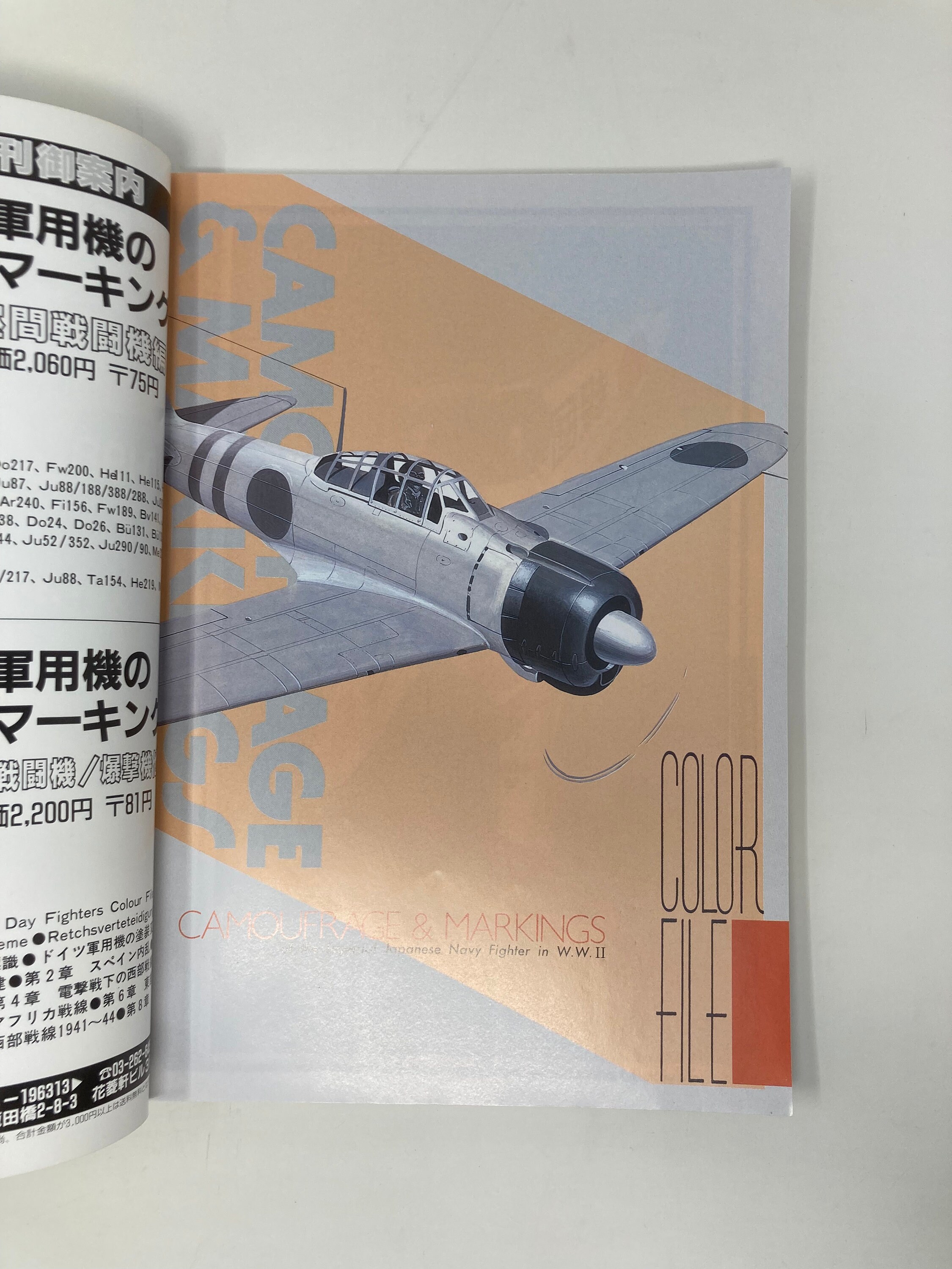 Camouflage & Markings of the Imperial Japanese Navy Fighters in