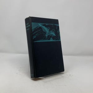 May include: A black hardback book with the title "Lost Lagoon" in white text on the spine. The cover features a teal illustration of a bird flying over a stormy sea.