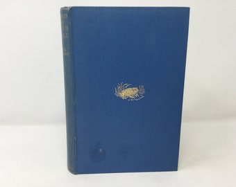 Toad of Toad Hall by A.A. Milne HC Hardcover 1929 VG Very Good