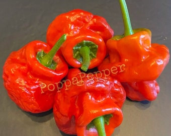 Red Scotch Bonnet Pepper Seeds