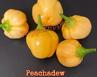 Peachadew Pepper Seeds