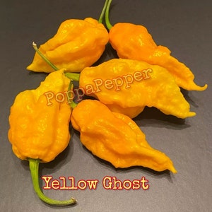 Yellow Ghost Pepper Seeds