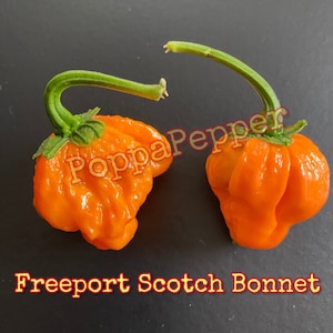 Freeport Scotch Bonnet Pepper Seeds