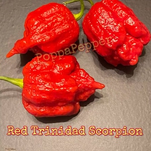 Red Trinidad Scorpion Pepper Seeds