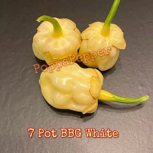 7 Pot BBG White Seeds