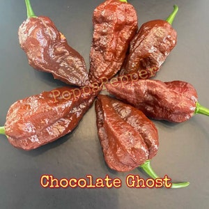 Chocolate Ghost Pepper Seeds