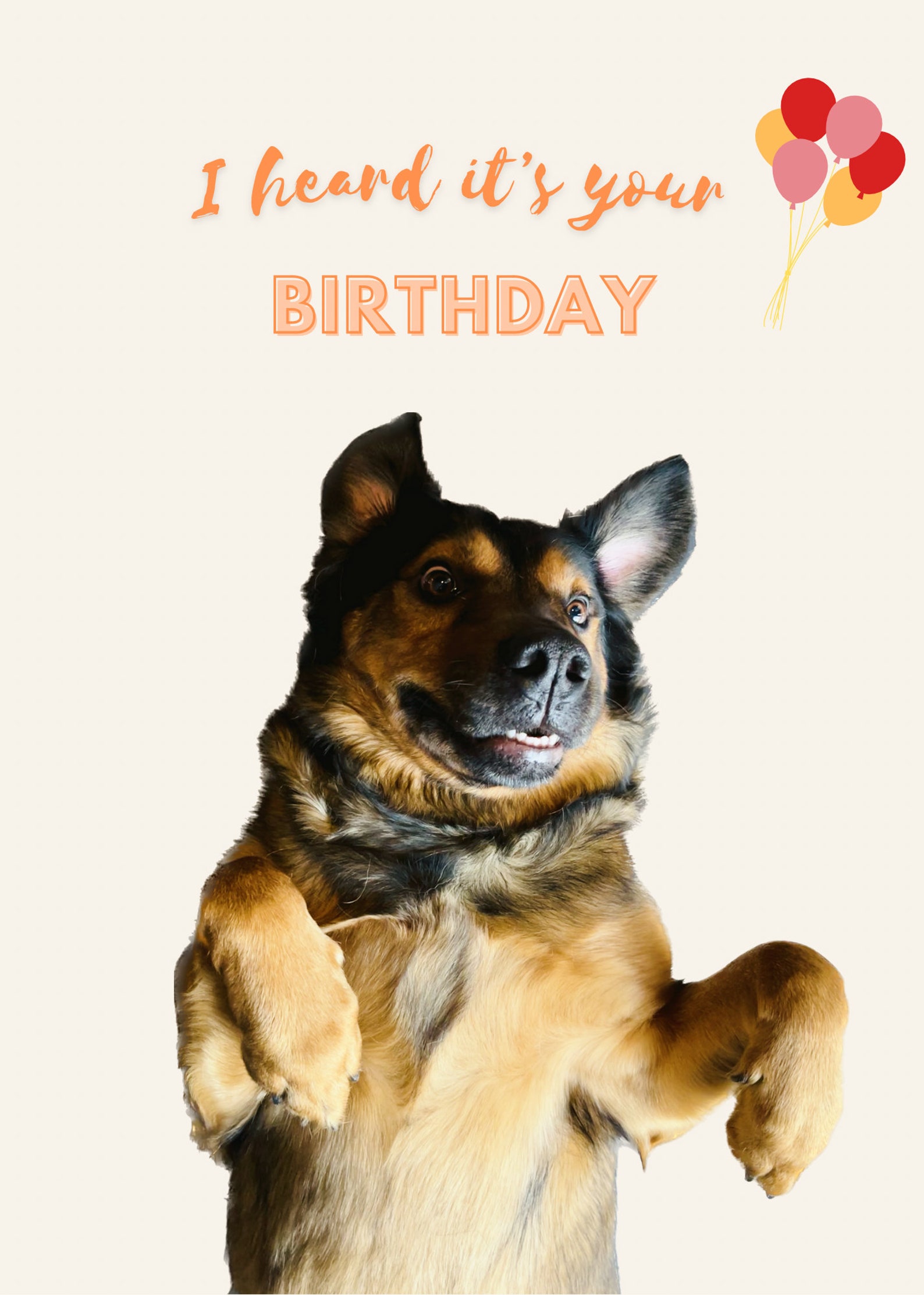 Funny Birthday Card - Dog - Etsy