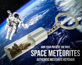 RARE! Original Space Meteorite NWA 869 &quot;Asteroid Belt&quot; with History Gift NASA Apollo Astronomer Display Keychain (C.O.A. Included)
