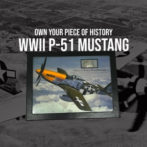 WWII P-51 Mustang Aircraft Skin Display: U.S. Army Air Force Relic (with C.O.A.)