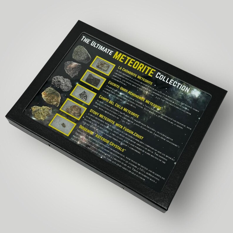 Rare Meteorite Collection Display: Campo Del Cielo, L6 Chondrite (C.O.A ...