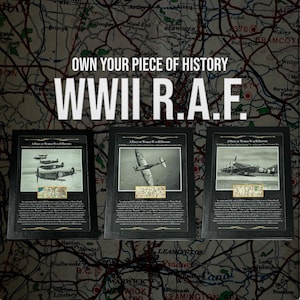 SELTEN! Original Royal Air Force British Spitfire No. 19 Staffel Pilot RAF Karte Geschichte Geschenk große Vitrine (C.O.A. inklusive)