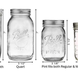 Mason Jar Insulated Cozie / Holder / Sleeve / Sourdough Starter Set / Mason Jar Holder / Coffe Tea Drink Cozie Bild 9