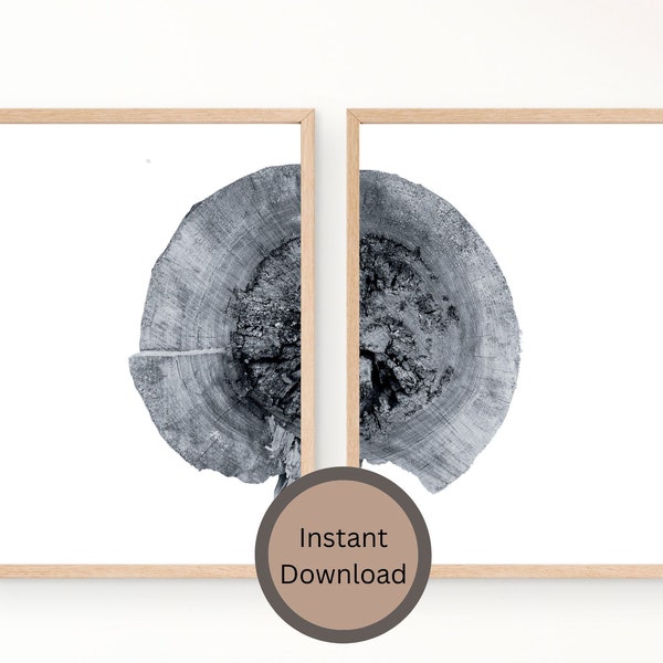 Wood Slice Wall Art Etsy