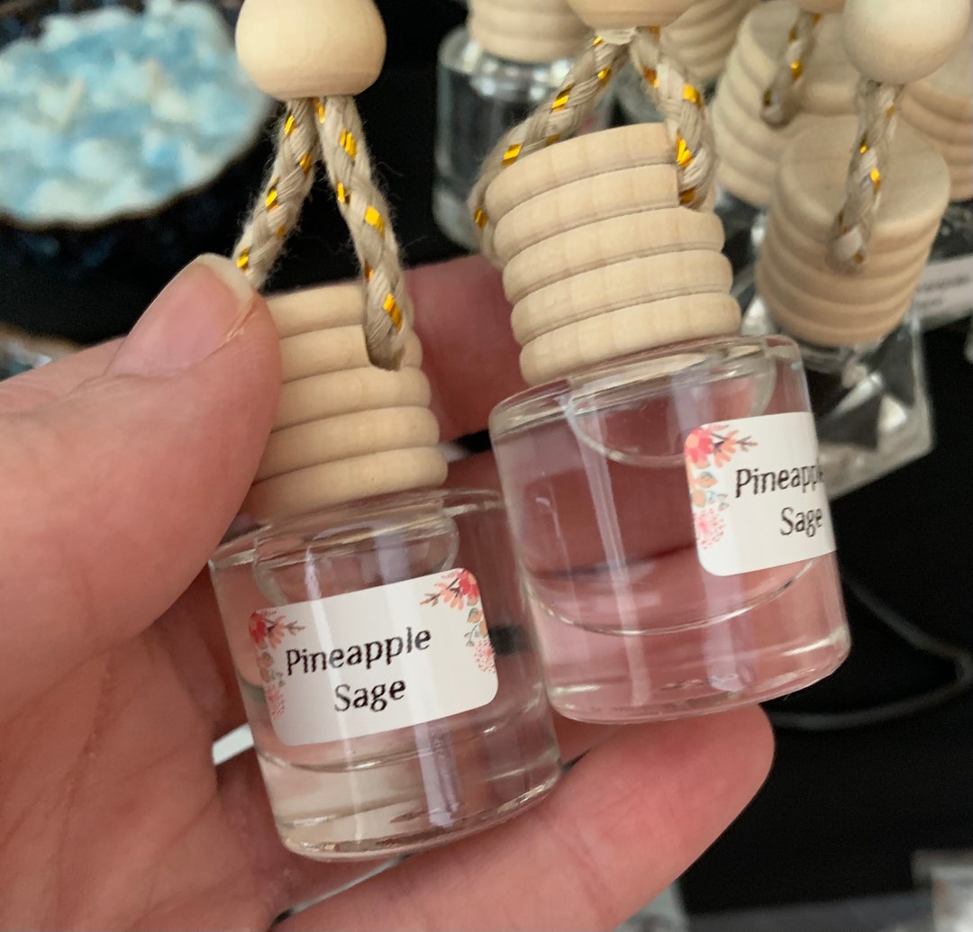 Car Freshies Car Fresheners Car Oil Defuser Etsy