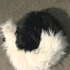 Black and White Curly Fursuit Tail NEED GONE