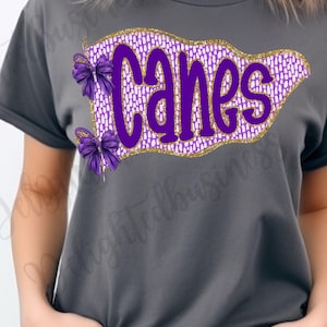Canes png file, mascot png file, Png file download, Sublimation png file, mascot shirt, mascot sticker, png file, Canes shirt design