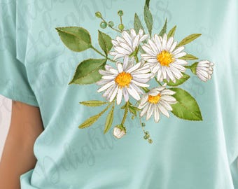 Fichier png de marguerite, conception png d'été, téléchargement de fichier Png, conception png de concepteur, conception png de fleur, fleur de marguerite png