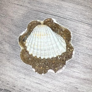 Sasso della Gratitudine, pieno di mare dAMAre . Un sasso di resina realizzato con sabbia e conchiglia.