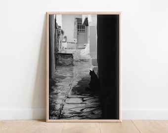Printable, Black and White Cat of Naxos, Greece, Ancient Greece, Naxos, Greek Islands, Architecture, Europe, Wall Art, Home Decor, Digital