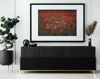 Poppy Field in France, poppy flower, France, Flowers, Travel Photo, Photo Print, Europe, Wall Art, Home Decor