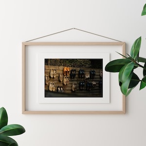 Afdrukbaar, Hollandse klompen, Klompen, Nederland, Digitale download, Nostalgie, Europa, Limburg, Wall Art, Home Decor
