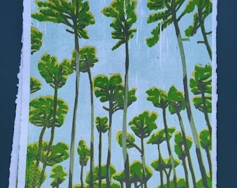 May include: A stack of art prints featuring a forest scene. The artwork depicts tall trees with green foliage and slender trunks against a light blue sky. The prints have a textured, handmade paper edge.