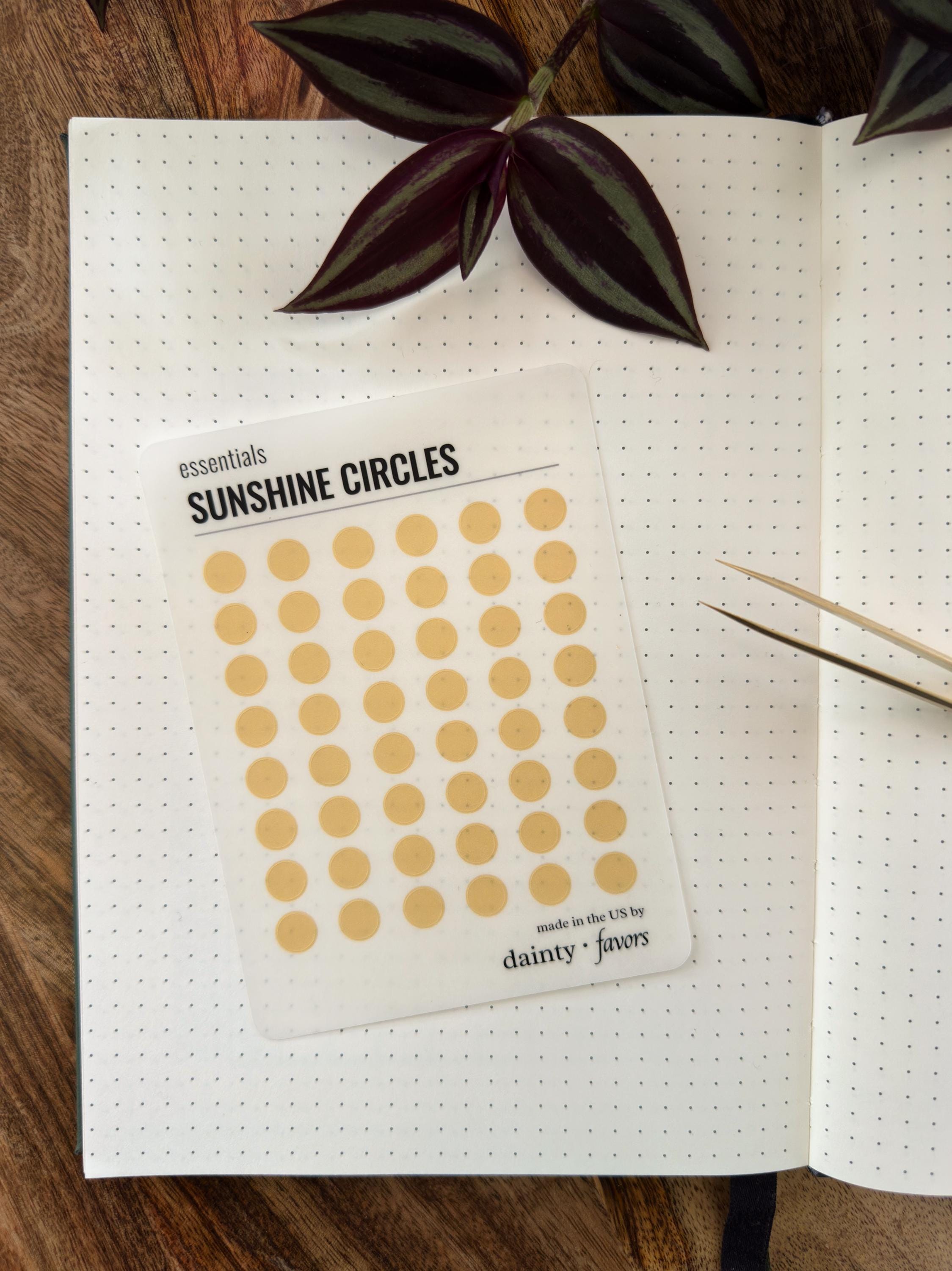 Translucent Circle Dot Stickers | Pocket-sized Planner Stickers ...