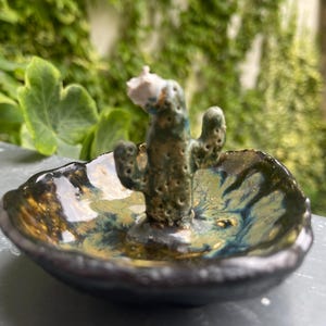 Kaktus schale - Etsy.de