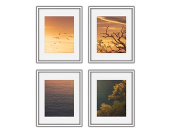 Set of 4 Silver Frame Mockup 8x10