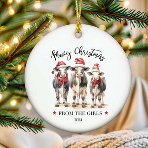 Custom Christmas Gifts, Personalized Cow Ornaments, Western Ornament, Funny Gift For Farmers, Xmas Lights Ornament Gifts