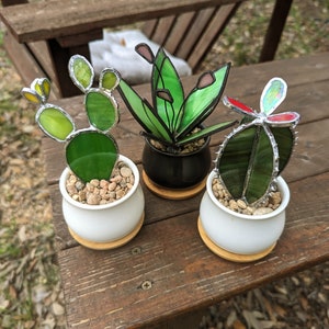 3D stained glass succulent with pot