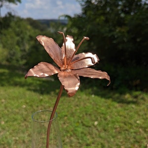 Copper Tiger Lily