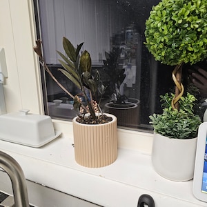 Self Watering Planter