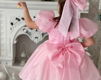 Pink Puffy Birthday Dress For Baby Girls, Flower Girl Short Organza Dress, Puffy Sleeve Princess Dress Gown Toddler, Cake Smash Bow Dress