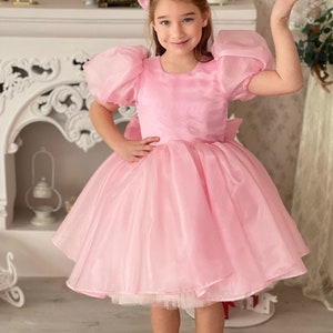 Pink Puffy Birthday Dress For Baby Girls, Flower Girl Short Organza Dress, Puffy Sleeve Princess Dress Gown Toddler, Cake Smash Bow Dress