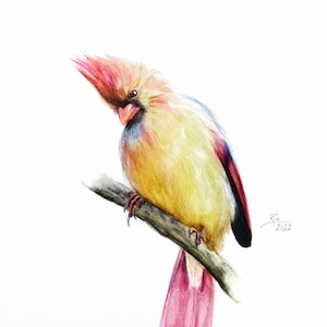ORIGINAL Watercolor Cardinal Painting female cardinal bird watercolor painting, watercolor birds