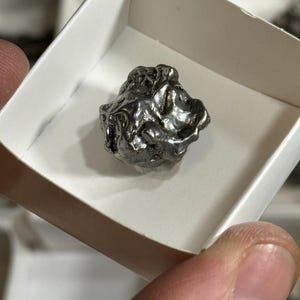 Campo Del Cielo, Meteorite Specimen, Argentinian Meteorite, Raw Meteorite