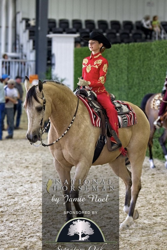 DIY Western Show Shirt – Create Your Own Horsemanship Top With Back Zip, Plain Color