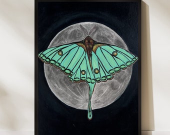Luna Moth