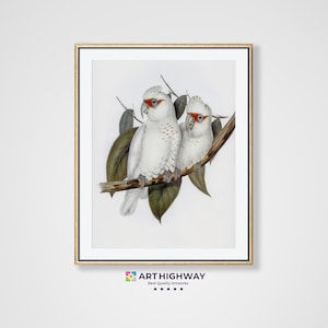 Vintage Cockatoo Parrots Painting | Nature Digital Download | Bird Wall Art | Kakadu Parrots | Green Branch